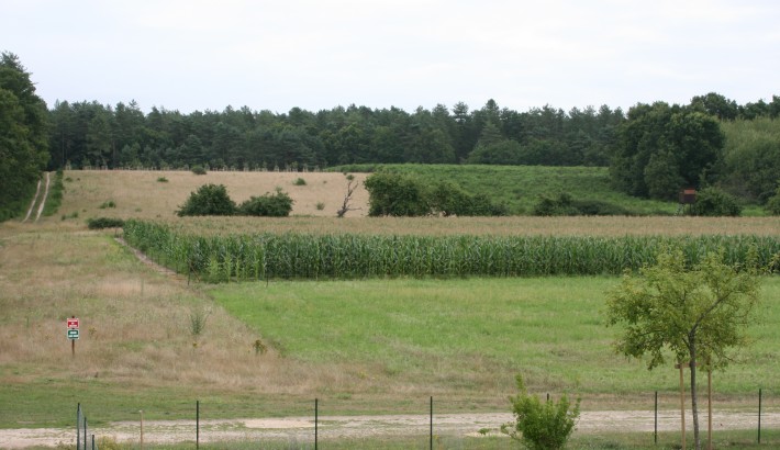 Propriété de chasse Propriété de Chasse à vendre