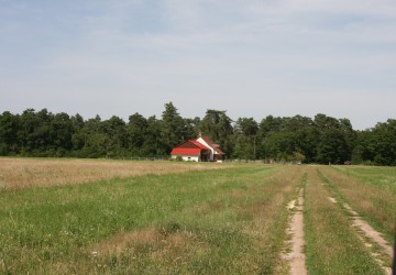 Propriété de chasse Propriété de Chasse à vendre