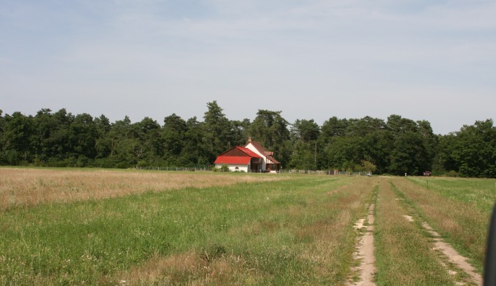 Propriété de chasse Propriété de Chasse à vendre