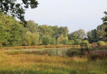 Propriété de Chasse en Sologne