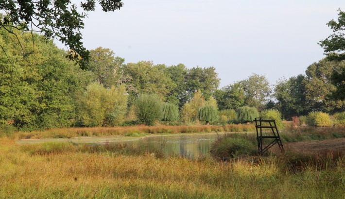 Propriété de chasse Propriété de Chasse en Sologne