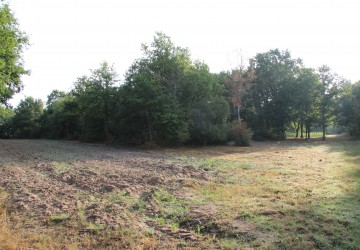 Propriété de chasse Propriété de Chasse en Sologne