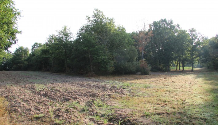 Propriété de chasse Propriété de Chasse en Sologne