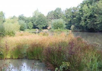 Propriété de chasse Propriété de Chasse en Sologne