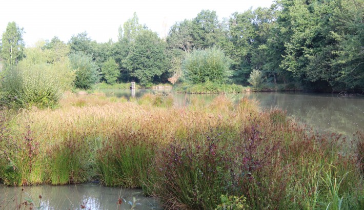 Propriété de chasse Propriété de Chasse en Sologne