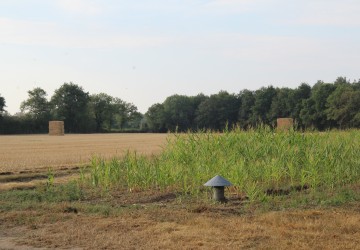 Propriété de chasse Propriété de Chasse en Sologne