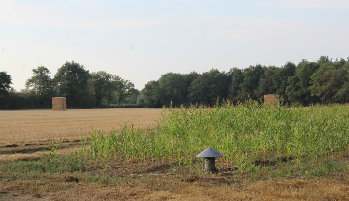 Propriété de chasse Propriété de Chasse en Sologne