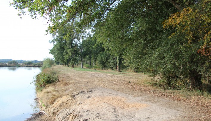 Propriété de chasse Propriété de Chasse en Sologne