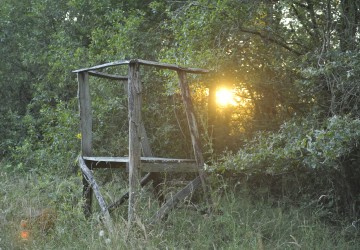 Propriété de chasse Propriété de Chasse à vendre