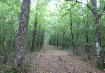 Propriété de chasse Propriété de Chasse à vendre