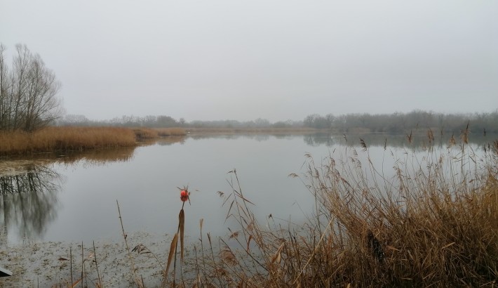 Propriété de chasse Magnifique territoire de chasse à vendre en plein de coeur de la Brenne