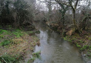 Propriété de chasse Magnifique territoire de chasse à vendre en plein de coeur de la Brenne