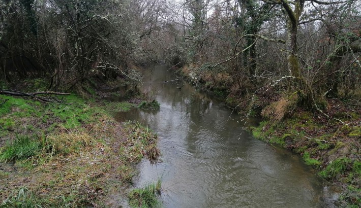 Propriété de chasse Magnifique territoire de chasse à vendre en plein de coeur de la Brenne