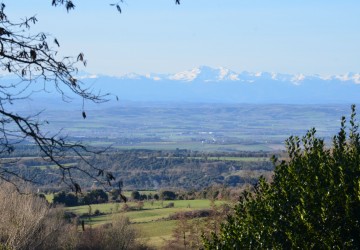 Parc de chasse à vendre