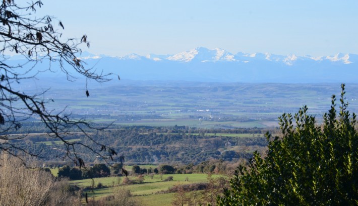 Propriété de chasse Parc de chasse à vendre