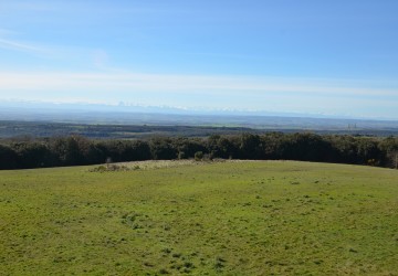 Propriété de chasse Parc de chasse à vendre