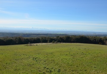 Propriété de chasse Parc de chasse à vendre