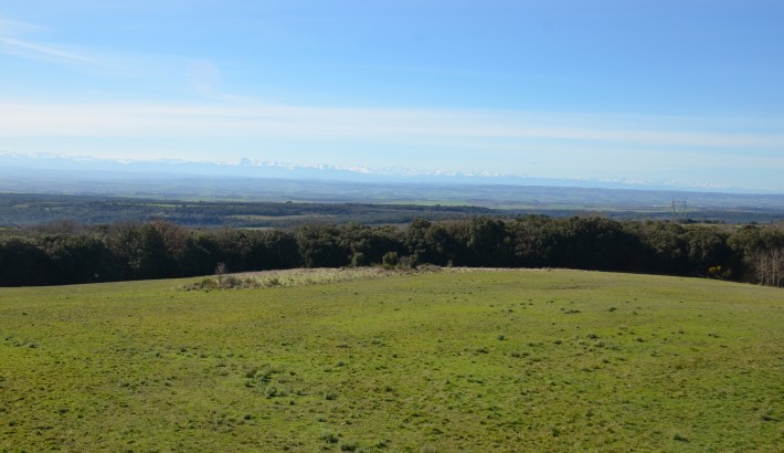 Propriété de chasse Parc de chasse à vendre