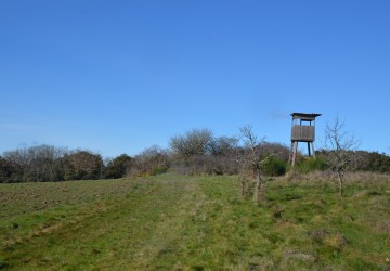 Propriété de chasse Parc de chasse à vendre