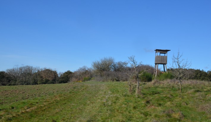 Propriété de chasse Parc de chasse à vendre