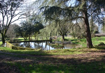 Propriété de chasse Parc de chasse à vendre