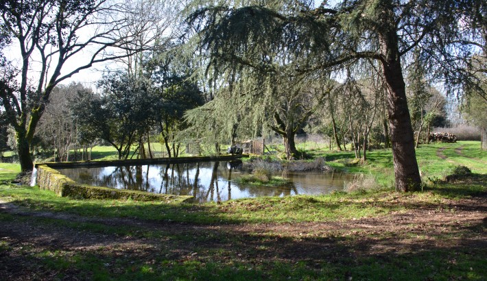 Propriété de chasse Parc de chasse à vendre