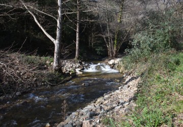 Propriété de chasse Parc de chasse à vendre