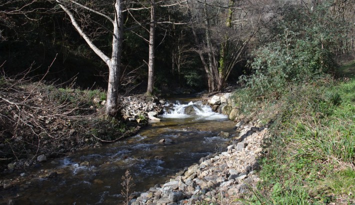 Propriété de chasse Parc de chasse à vendre