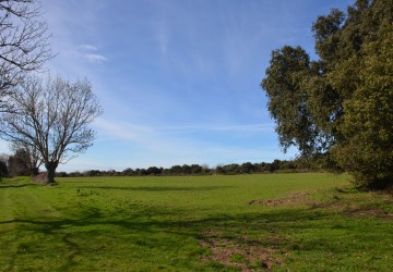 Propriété de chasse Parc de chasse à vendre