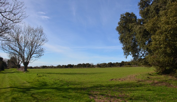 Propriété de chasse Parc de chasse à vendre