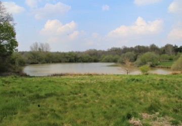 Propriété de chasse Propriété de charme et d'agrément à vendre en Sologne