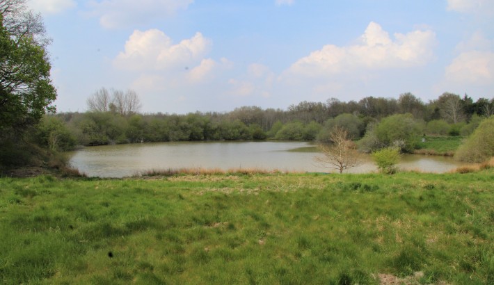 Propriété de chasse Propriété de charme et d'agrément à vendre en Sologne