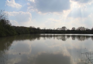 Propriété de chasse Propriété de charme et d'agrément à vendre en Sologne