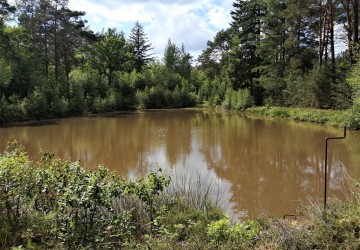 Propriété de chasse Très beau territoire de chasse à vendre en Sologne