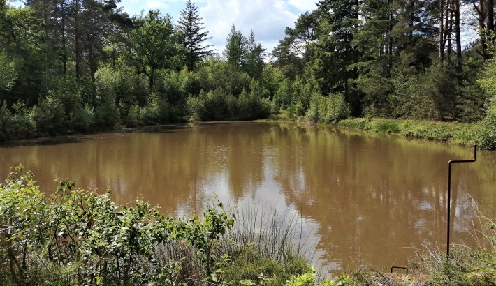 Propriété de chasse Très beau territoire de chasse à vendre en Sologne