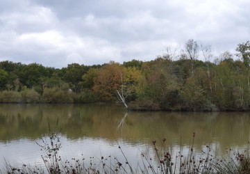 Propriété de chasse Très beau territoire de chasse à vendre