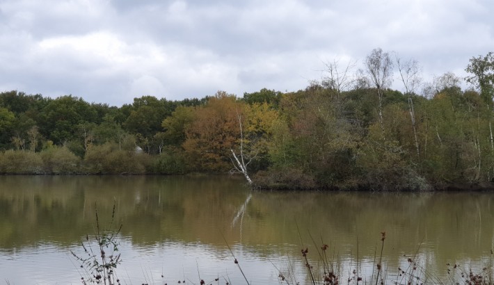 Propriété de chasse Très beau territoire de chasse à vendre