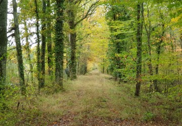 Propriété de chasse Très beau territoire de chasse à vendre