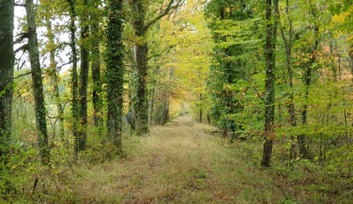 Propriété de chasse Très beau territoire de chasse à vendre