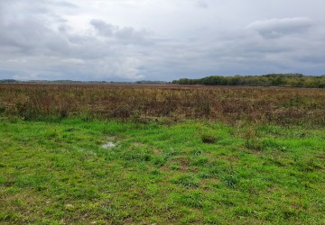 Propriété de chasse Très beau territoire de chasse à vendre