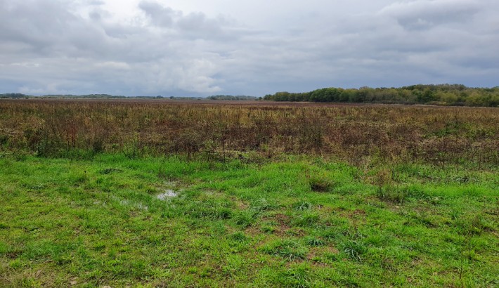 Propriété de chasse Très beau territoire de chasse à vendre