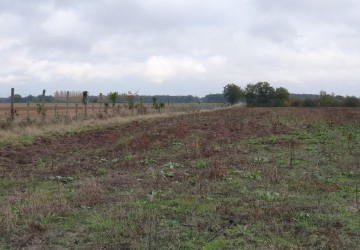 Propriété de chasse Très beau territoire de chasse à vendre