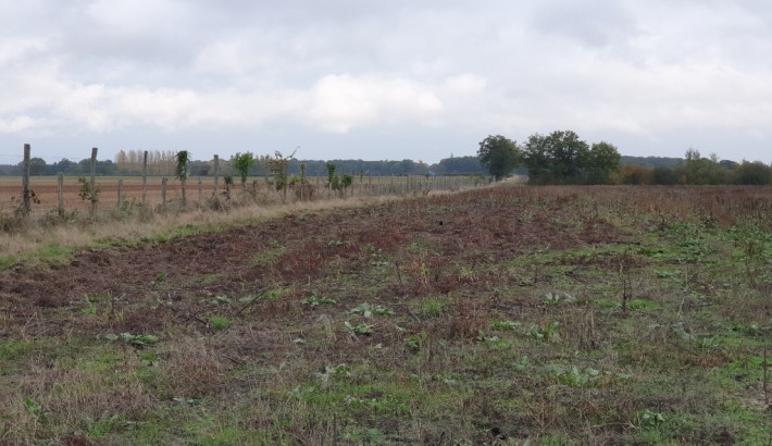 Propriété de chasse Très beau territoire de chasse à vendre