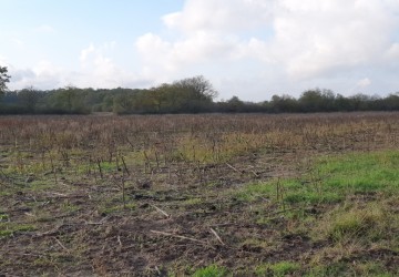 Propriété de chasse Très beau territoire de chasse à vendre