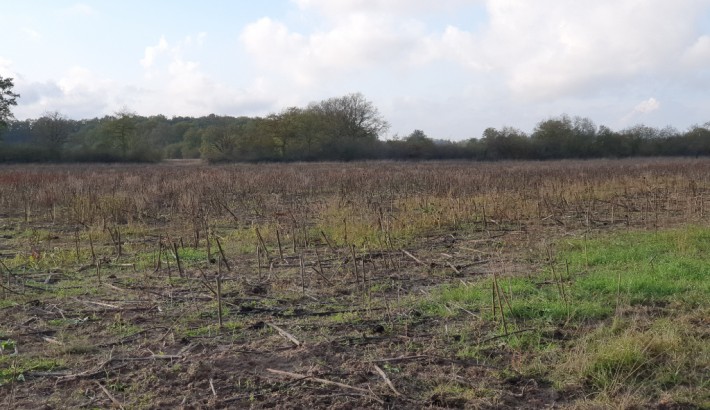 Propriété de chasse Très beau territoire de chasse à vendre