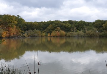 Propriété de chasse Très beau territoire de chasse à vendre