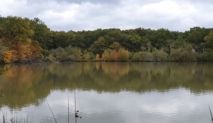 Propriété de chasse Très beau territoire de chasse à vendre