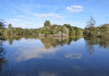 Propriété de Chasse à vendre sur 140 hectares en Sologne