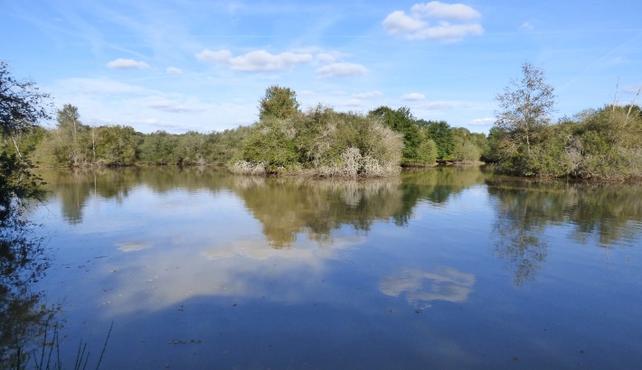 Propriété de chasse Propriété de Chasse à vendre sur 140 hectares en Sologne