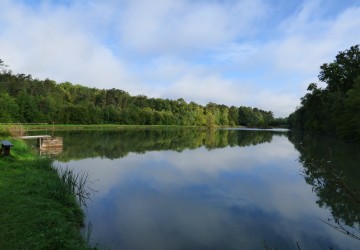 Propriété de chasse Magnifique propriété de chasse à vendre